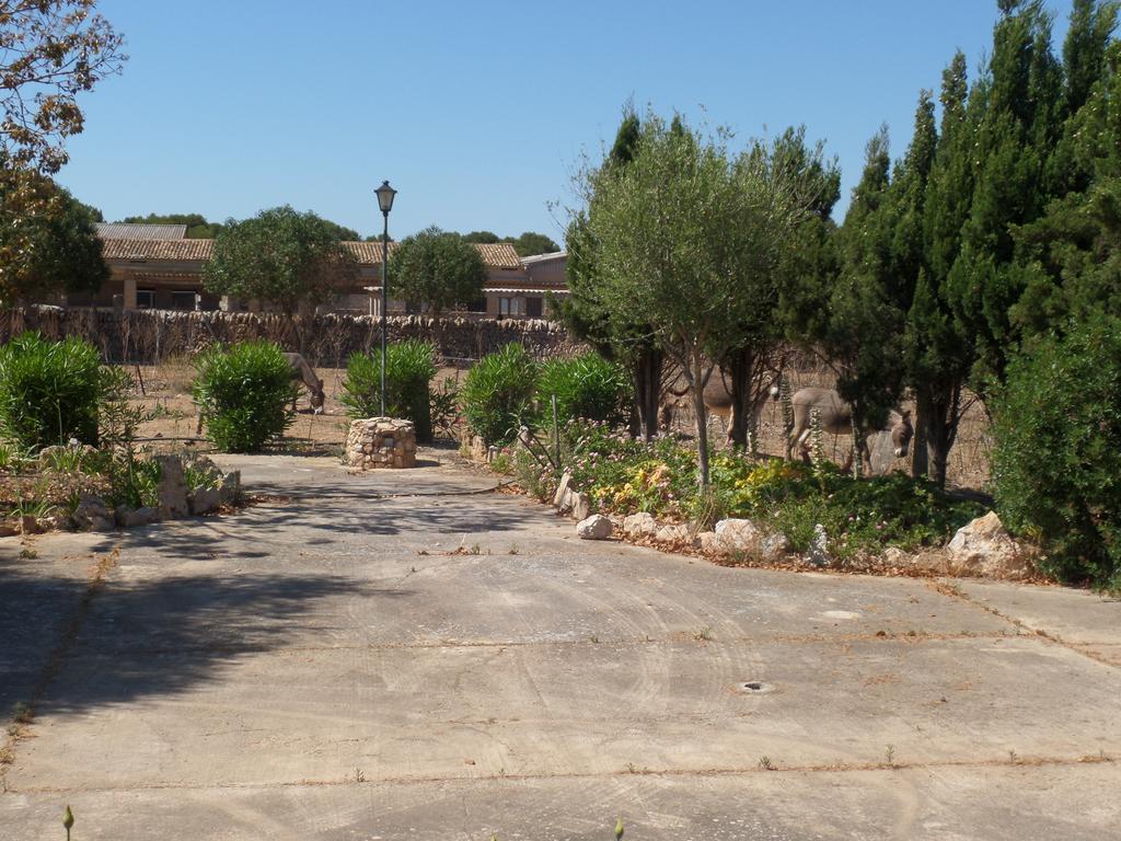 Farm stay Sa Bassa Crua *