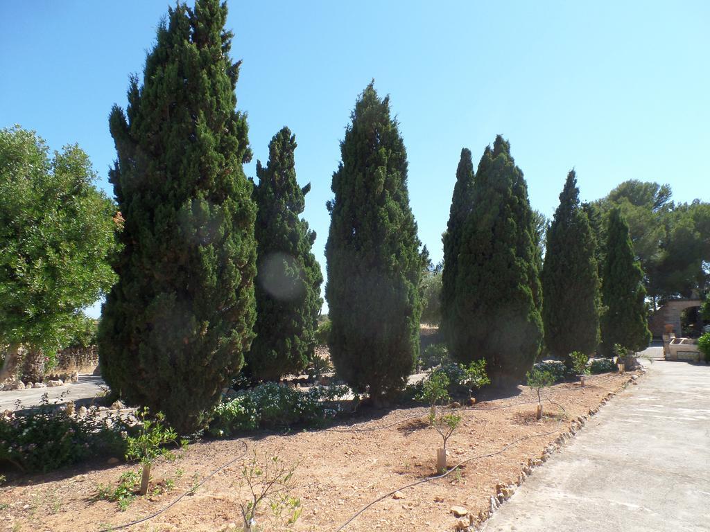 Sa Bassa Crua Farm stay